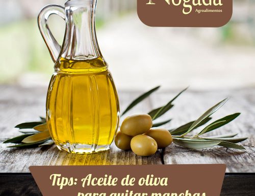 Nogada Tips & Info Aceite de oliva para eliminar manchas de pintura y otros materiales